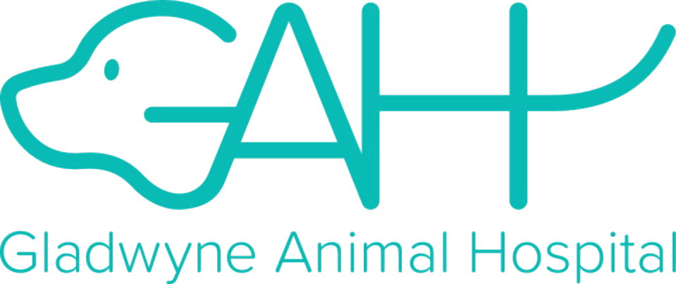 Gladwyne Animal Hospital logo